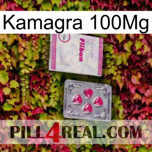 Kamagra 100Mg 32.jpg